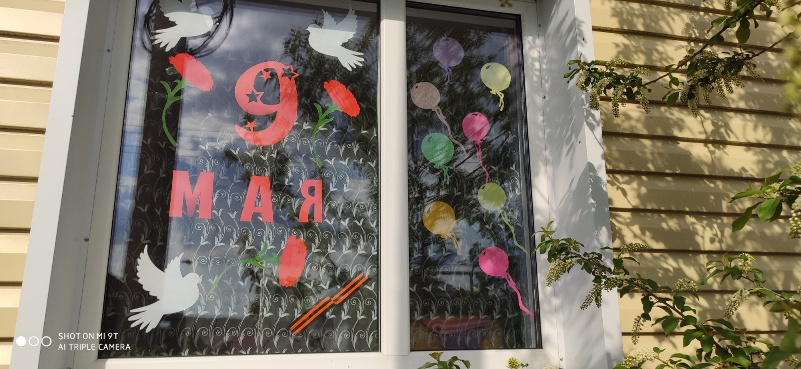 Окно Победы Овчинникова С. 15.05.20