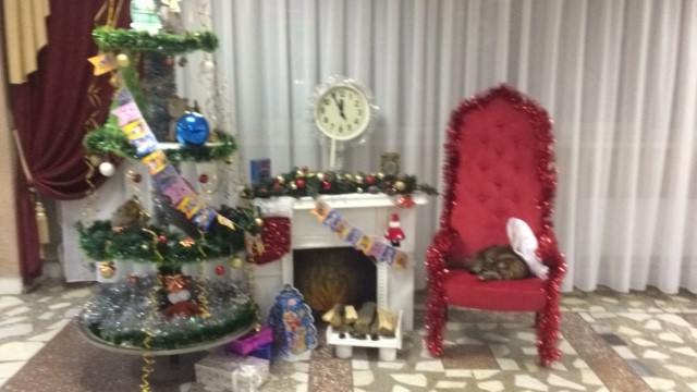 С Новым годом! фотозона. 27.12.21